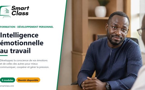 Intelligence émotionnelle au travail